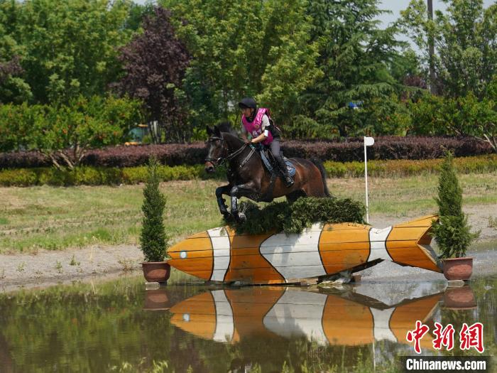 江苏广东队稳居积分榜前二 马术三项赛资格赛激
